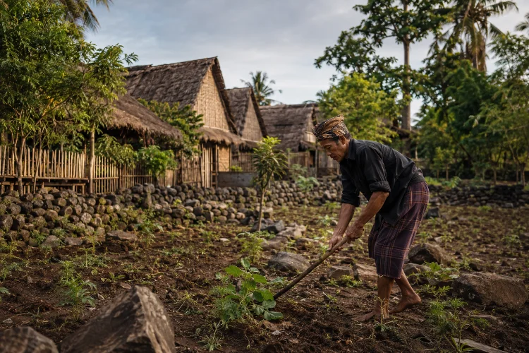 Pertanian Tradisional Masyarakat Sade: Bertahan Mengikuti Musim